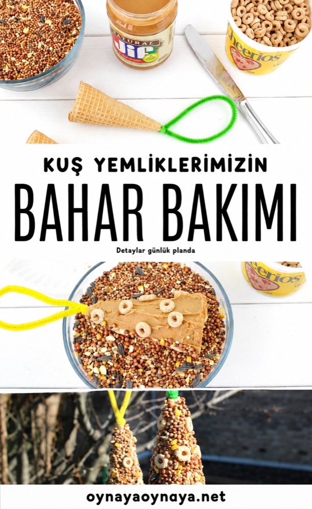Kuş yemliklerimizin bahar bakımı